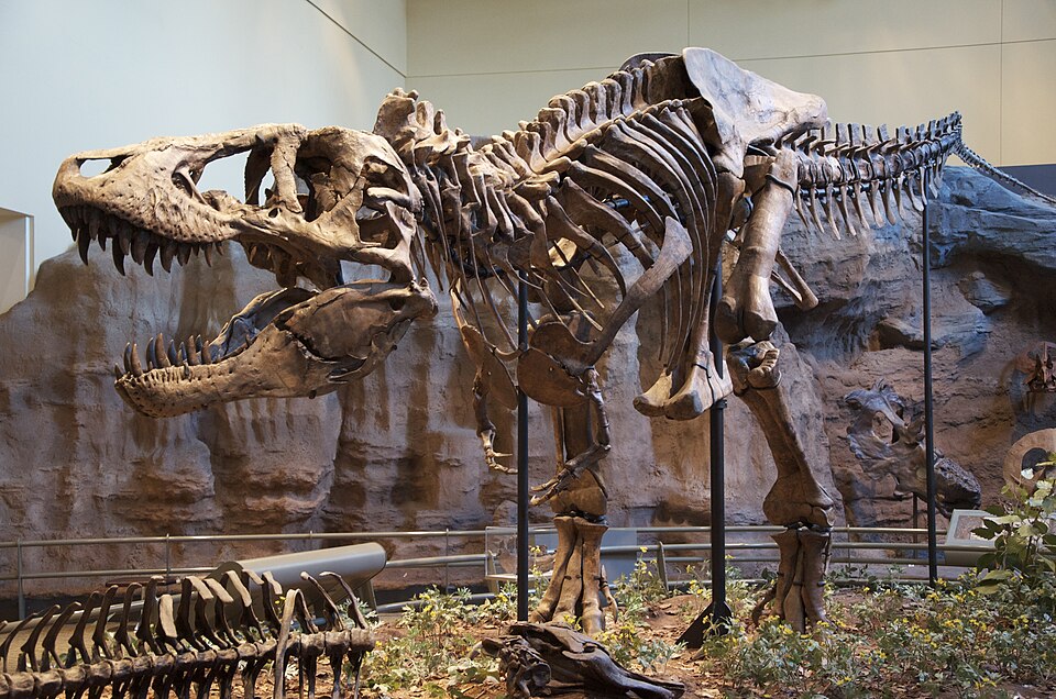 Dinosaur